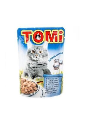 golosi cat indoor somon balikli ev