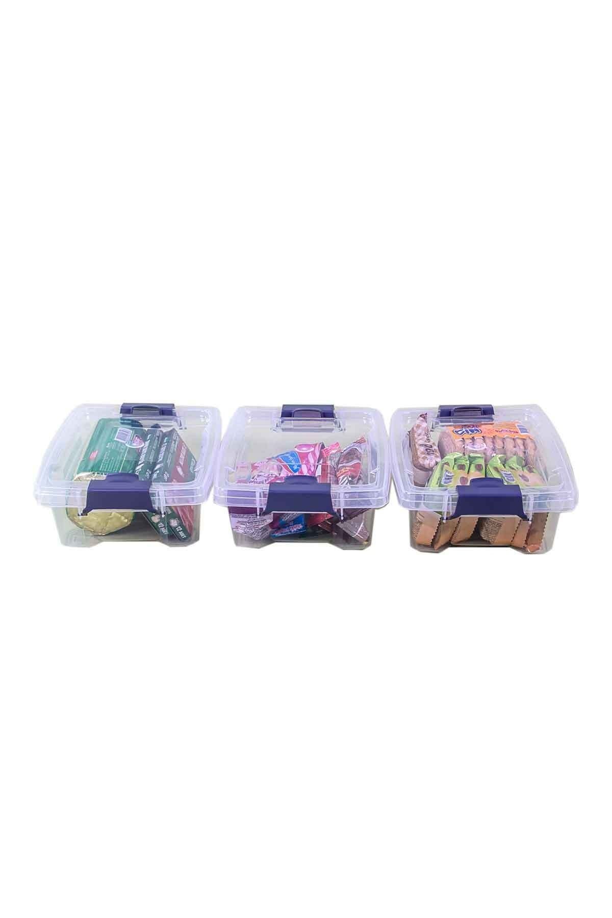 QUTU-Q-lear Box 1.5 L Locked Triple Storage Box Set - transparent 2