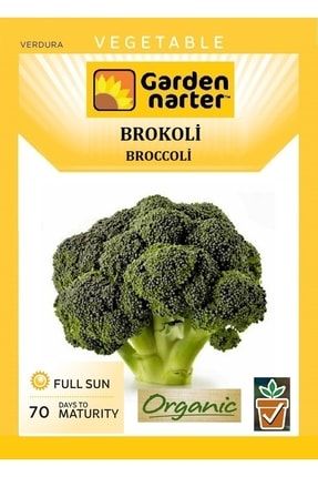 Brokoli Tohumu Doğal Organik Tohum Pakette 30 Tohum Hediye Sebze Tohumu GN22