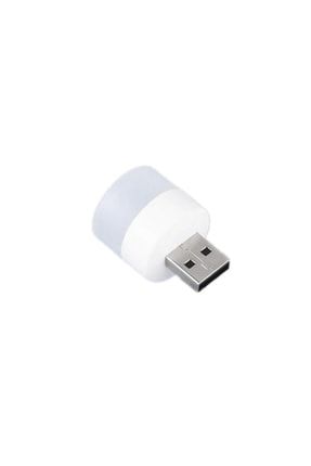 Taşınabilir Usb Led Işık Lamba Kamp Piknik Gece Lambası Warm Whıte Gün Işığı ZRHUSBLED1