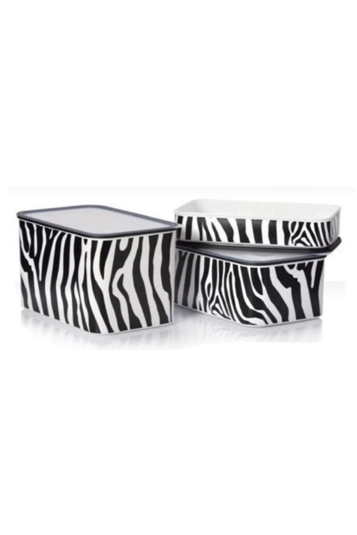 Tupperware-Water Zebra Set of 3 - Storage Container with Tight Lid Hsgl 1