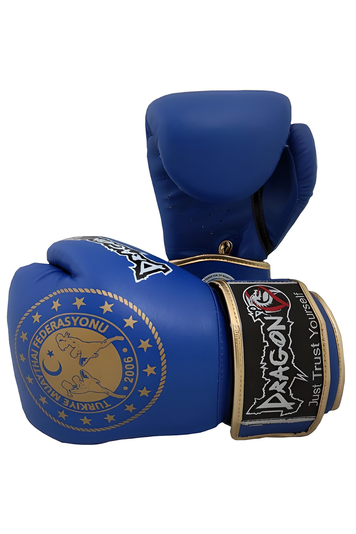 Dragon Muay Thai Federasyon Logolu Müsabaka Boks Eldiveni