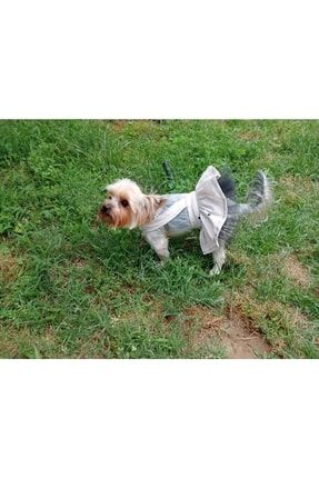 Köpek Kedi Krem Rengi Puantiyeli Yazlık Salopet Elbise SSK-455567822234789763