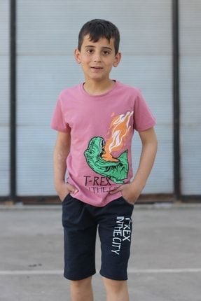 T-rex Baskılı Trend Erkek Çocuk T-shirt cg128545