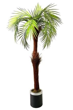 Metal Saksı Da Palmiye Ağacı Yapay Areka Ağacı Açık Yeşilli 5465