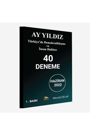 Türkiye'de Demokratikleşme Ve Insan Hakları AY YILDIZ - 6