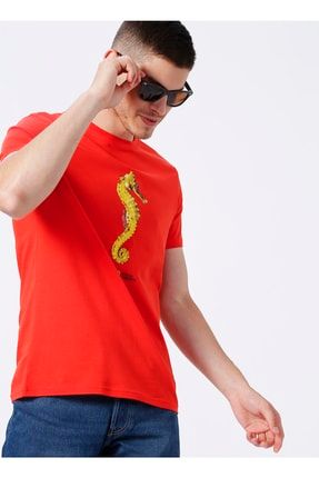 Bisiklet Yaka Baskılı Kiremit Erkek T-shirt Seahorse 5002826471