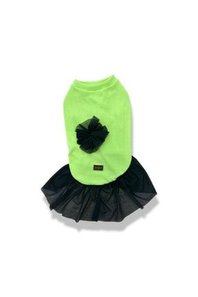 Kedi Ve Köpek Kıyafeti & Elbisesi Tütülü Model Yeşil Siyah Large TYC00483466228