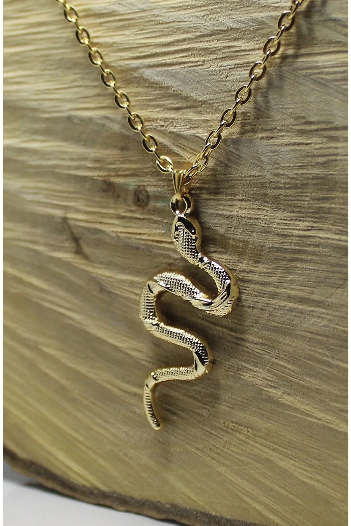 Snake locket shop
