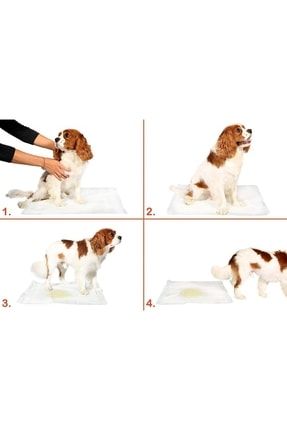 10 Lu Köpek Tuvalet Eğitim Pedi - Kullan At Çiş Pedi - 90 X 60 Cm- 64852251509651225