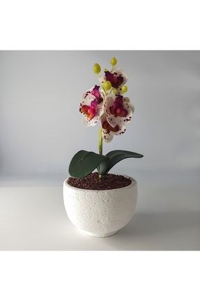 Saksıda Orkide Çiçek GMDKO6480
