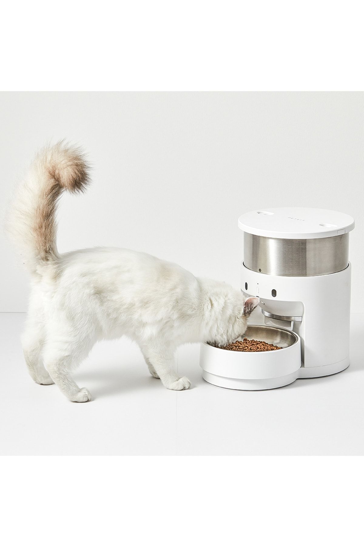 Petkit fresh element smart pet best sale feeder