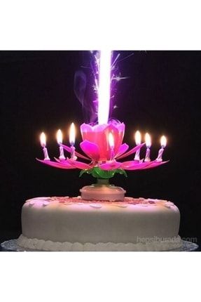 Happyland Pembe Kendinden Açılan Doğum Günü Müzikli Sihirli Pasta Mumu FKL00665