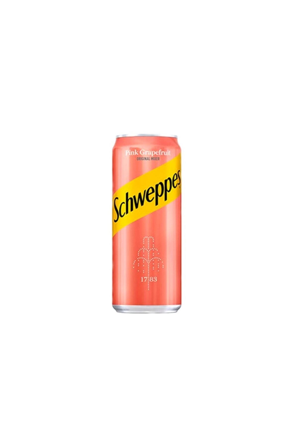 schweppes ahududu zencefilli gazoz