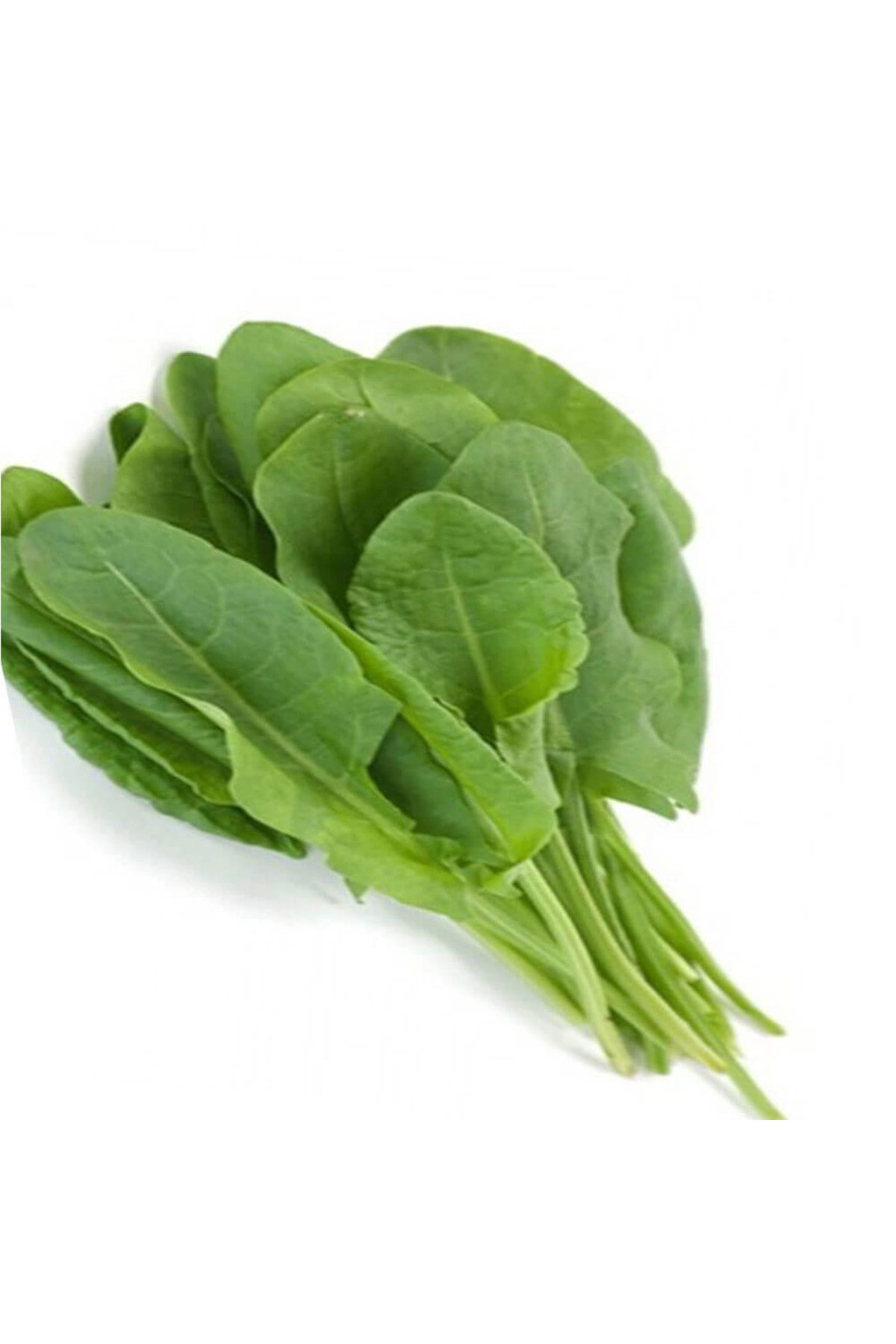 Kuzukulağı Tohumu 5gr 1 Paket