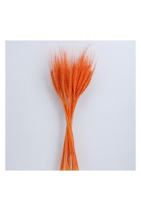 Kuru Çiçek Doğal Başak Turuncu 25 /30 Sap 45cm Boy TYC00487210331