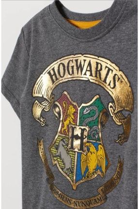 Hogwarts T-shirt 1555