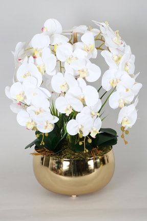 Metal Gold Saksıda Yapay Islak Baskılı Orkide Beyaz Fıstık YPCCK-FKYT-1234