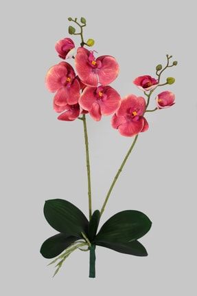 Yapraklı 3d Lüx 2li Islak Orkide Dalı 55 Cm Pastel Fuşya YPCCK-FKYT-571