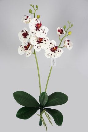 Yapraklı 3d Lüx 2li Islak Orkide Dalı 55 Cm Beyaz-benekli YPCCK-FKYT-572