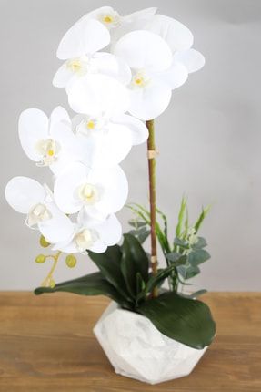 Beton Saksıda Yapay Baskılı Islak Orkide 55 Cm Beyaz Sarı YPCCK-FKYT-832