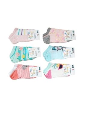 Pamuk Renkli 6'lı Kız Çocuk Patik Çorap TSDPTK04