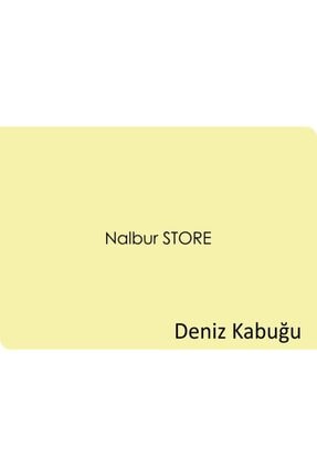 Marshall Fit Plastik Ic Duvar Boya 20kg Tavan Boya 17 5kg Ic Duvar Astar 20kg Panel Kapi Boya 2 5lt Fiyati Yorumlari Trendyol