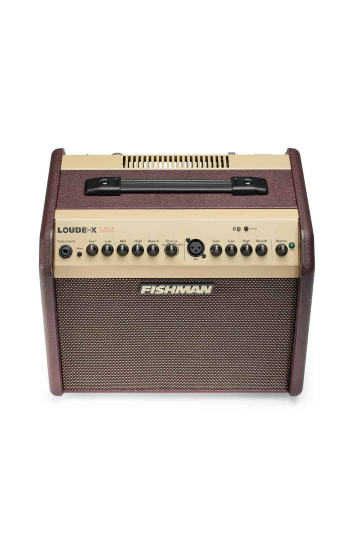 Fishman loudbox mini clearance bluetooth