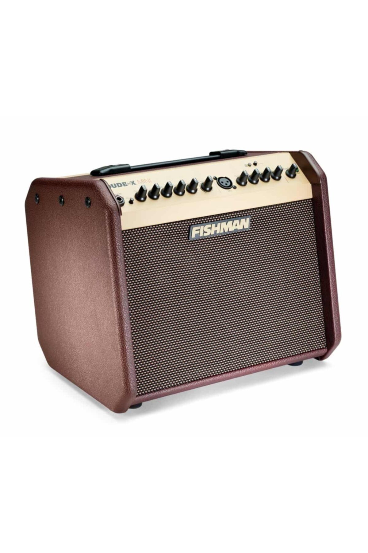 Fishman loudbox shop mini bt