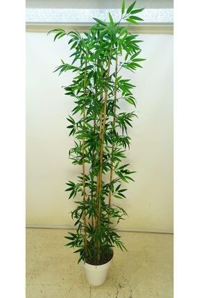 Yapay Bambu 5li Bambu 185cm Doğal Görünüm T3ZGUD1IWJ