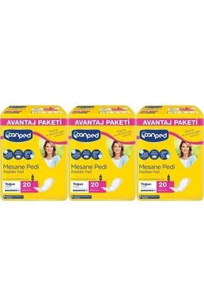 Mesane Pedi Avantaj Paket Klasik L-büyük Boy Yoğun 60 Adet trend24-176