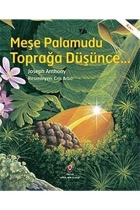 Alfa Yayincilik Doga Dostu Cocuk Nasil Yetistirilir Dogayi Sevme Sanati Ve Bilimi Trendyol