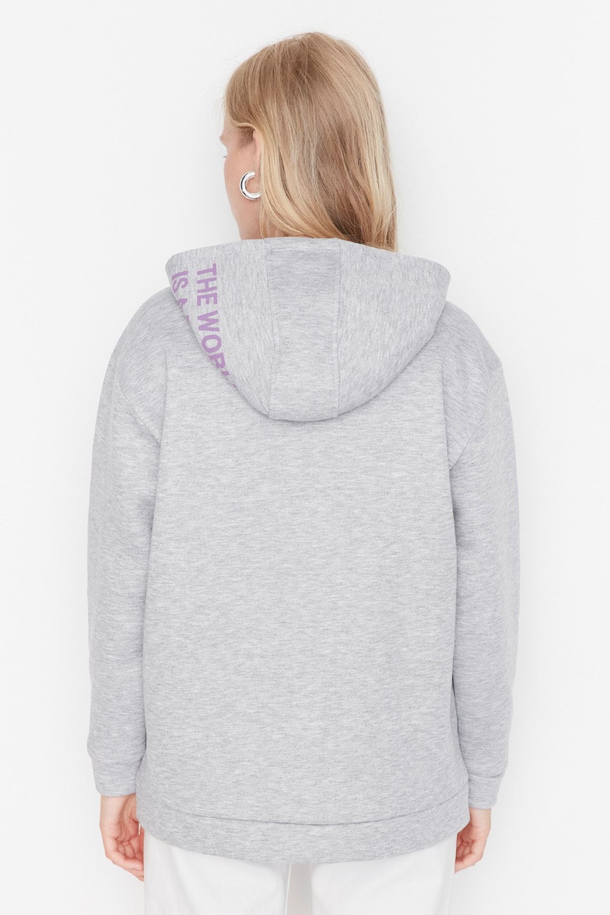 Trendyol Collection-Gray Printed Raised Thick Fleece Inside Knitted Sweatshirt TWOAW22SW0709 5