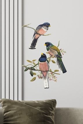 Daldaki Kuş Şeffaf Boho Kuşlar Dekoratif Sticker Duvar | Dolap | Kapı STC87