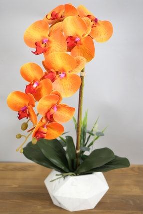 Beton Saksıda Yapay Baskılı Islak Orkide 55 Cm Turuncu YPCCK-FKYT-831