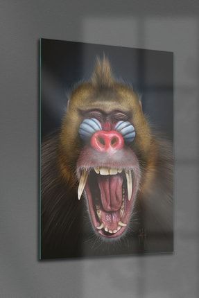 Cam Tablo Funny Monkey DCVT-1927