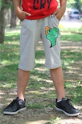 Cosba Kids Minik Dinozor Baskılı Günlük Erkek Çocuk Trend Penye Şort C2777801