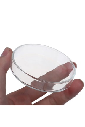 10 Cm Karides Yemlemek Için Gerçek Cam Petri Kabı 1 Adet CAMPETRİ10CM