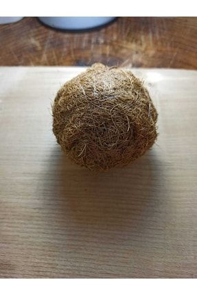 L Boy Doğal Lif Sarılı Wabikusa Ball - Bitkili Karides Teraryum - Paludaryum Tasarım Topu WabikusaLifL