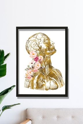 Anatomik Sanat, Insan Anatomisi Posteri, Tıbbi Ofis Dekoru BT1-537