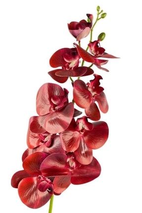 Yapay Çiçek Bordo Islak Orkide Uzun Dal 90 Cm Orkide ty2215-44171