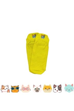 Kaliteli Kedi Nakışlı Sarı Renkli Patik Spor Çorap BNKEDİ