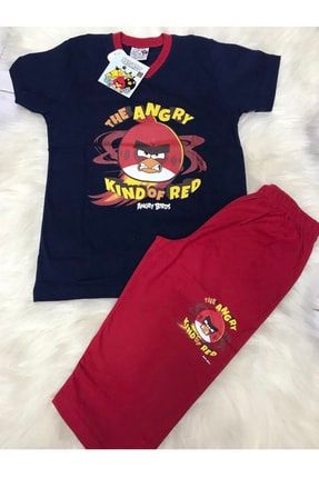 Erkek Çocuk Angry Birds Lacivert Kaprili Pijama Takımı RP8002