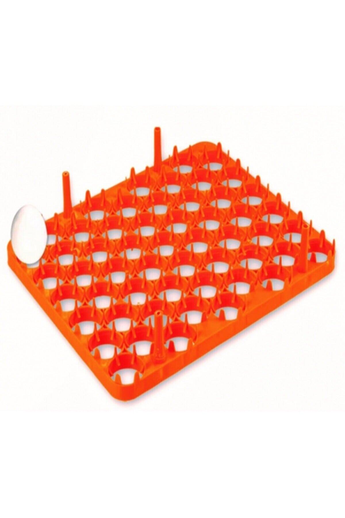 Genel Markalar Tavuk Yumurtası Kuluçka Viyolü 54 Lü