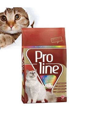 Proline Yetişkin Kedi Maması Multi Colour PROLNKDMMC0001