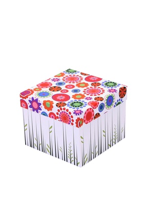 DECOBOX Hediye Kutusu (20X20X16CM.)