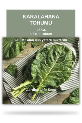Karalahana Tohumu 25 gram STOH138