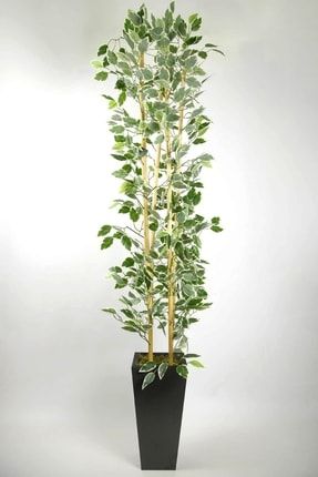 Yapay Benjamin Ağacı Ahşap Saksıda Yapay Çiçek Yoğun Dolgun Yapraklı 170 Cm Antrasit170cmBenjaminB
