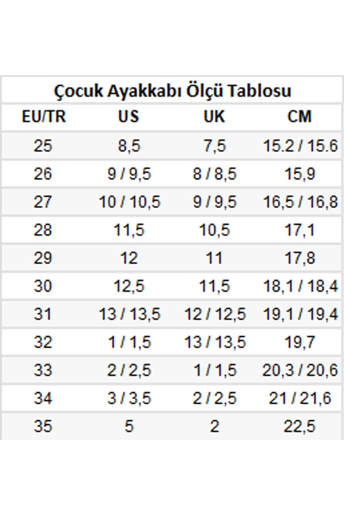 Edelıne Sneaker Ayakkabı Gri