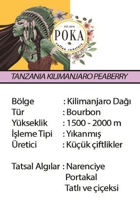 Tanzanıa Kılımanjaro Peaberry / Aa 500 gr Öğütülmüş Filtre Kahve PK-kn-nyeri-500